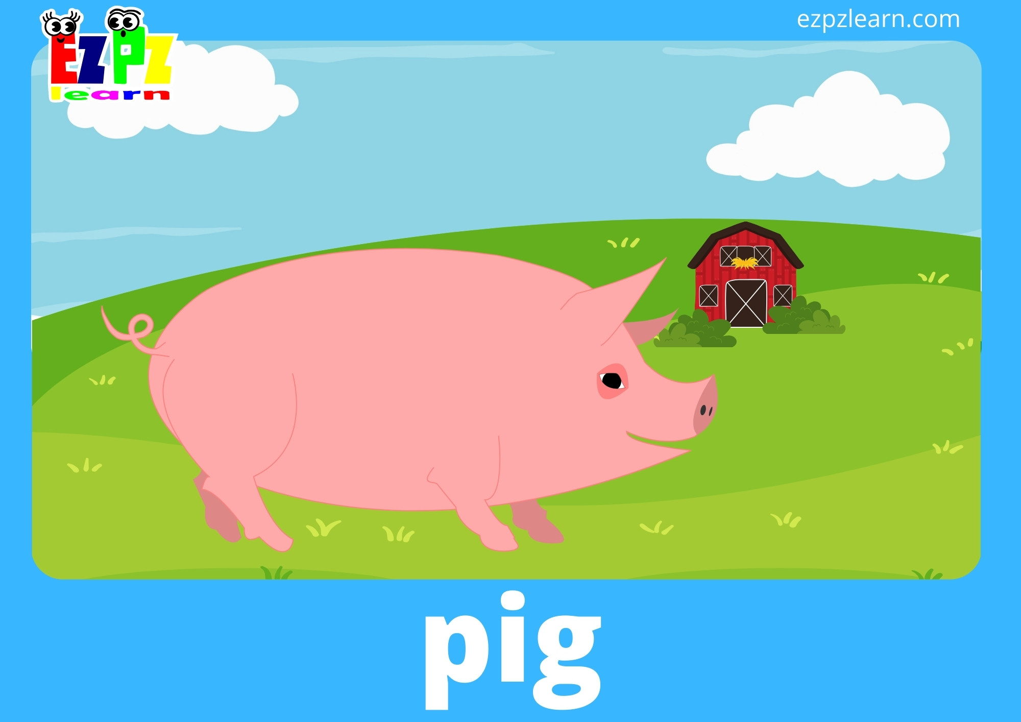 pig